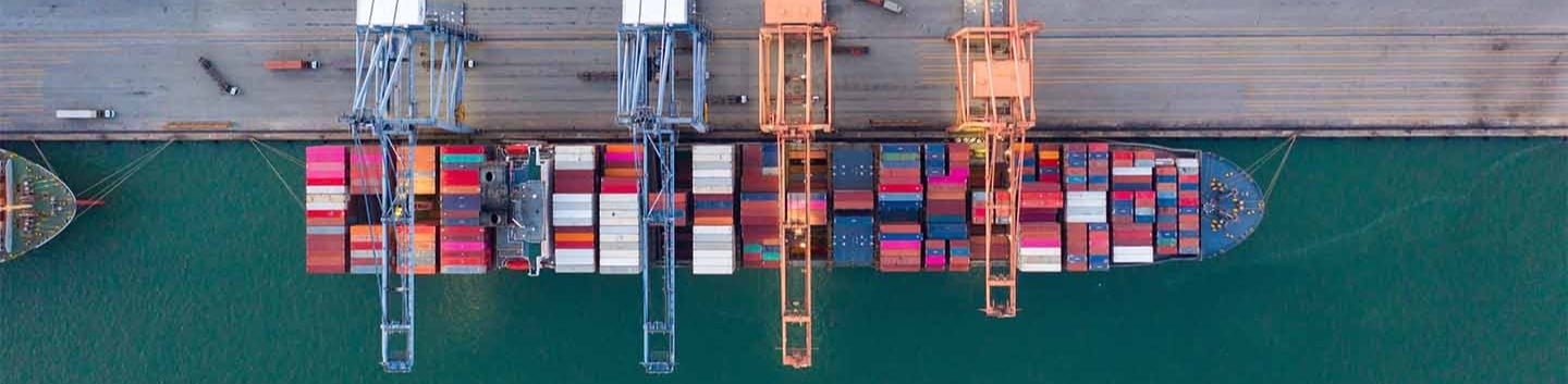 insight featured image