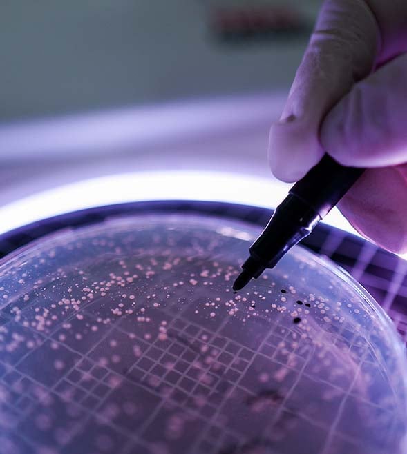 Turning biotech research into global opportunity