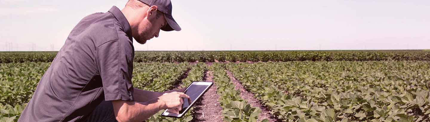 insight featured image