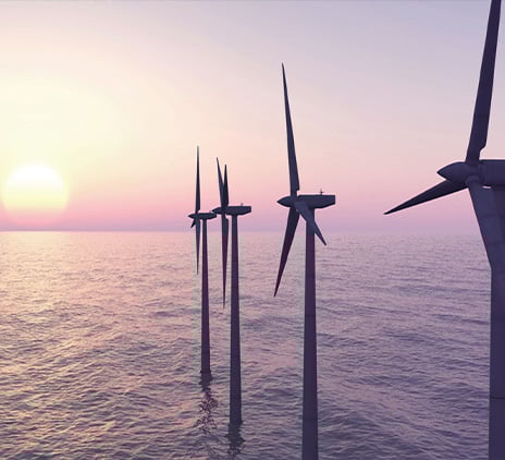 Frances Carter: A passion for protecting the planet