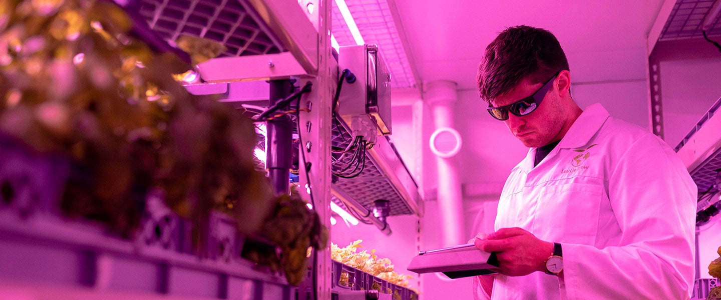 insight featured image