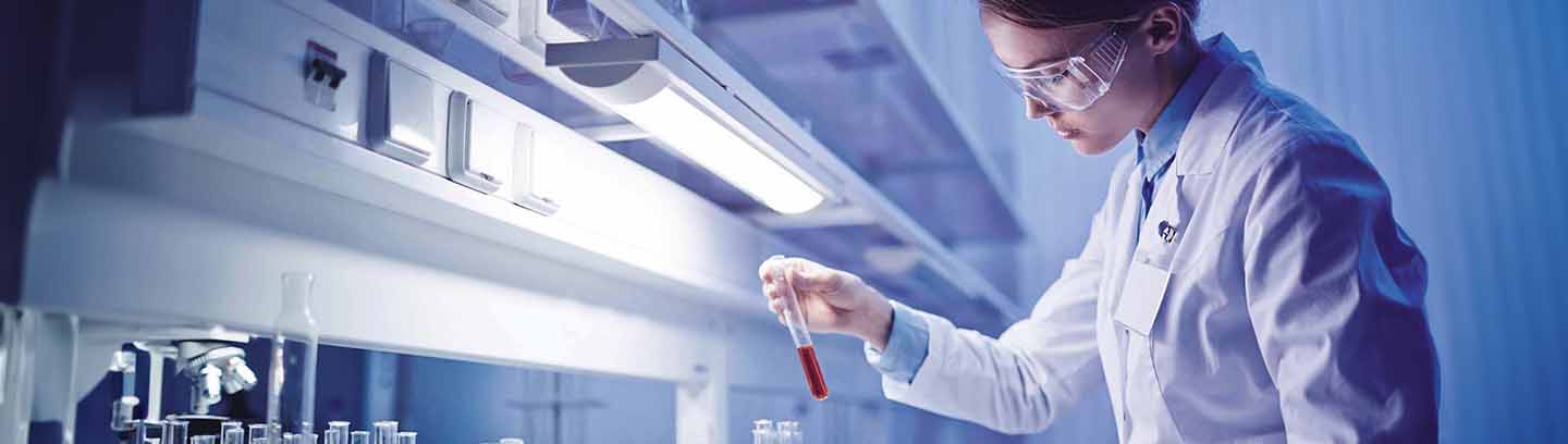 insight featured image