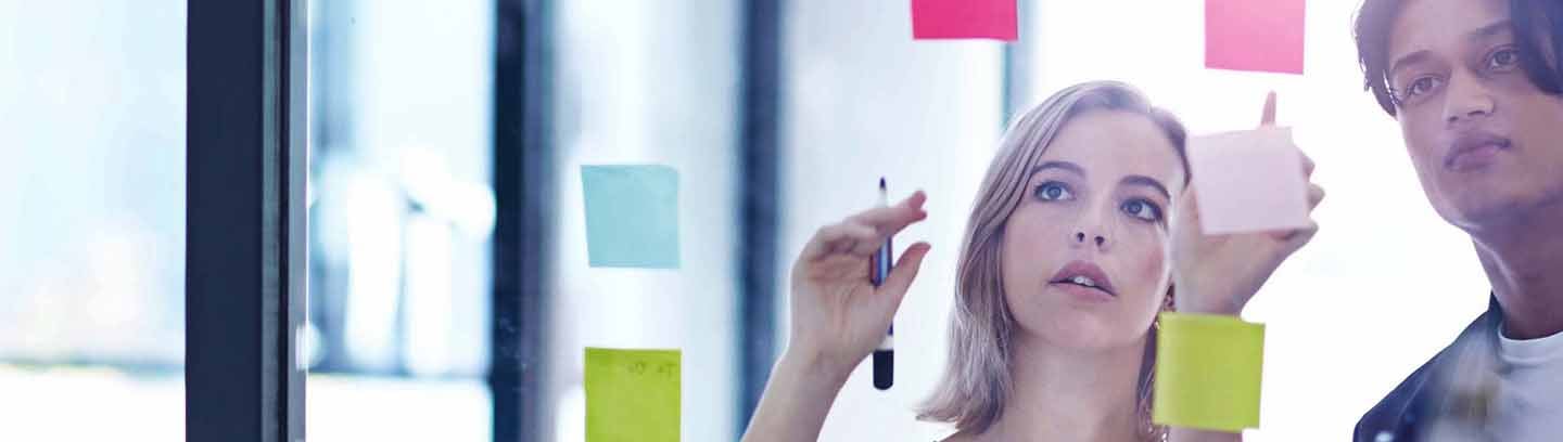 Professional Services