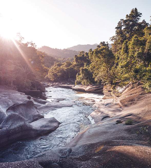 The current economic landscape, tariffs and impacts on Australian manufacturing businesses