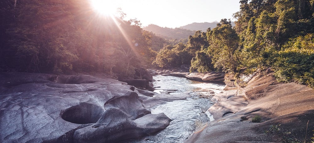 Federal Budget Virtual Seminar 2025