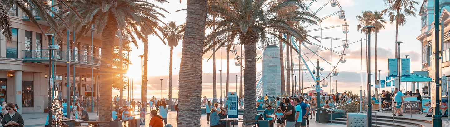 insight featured image