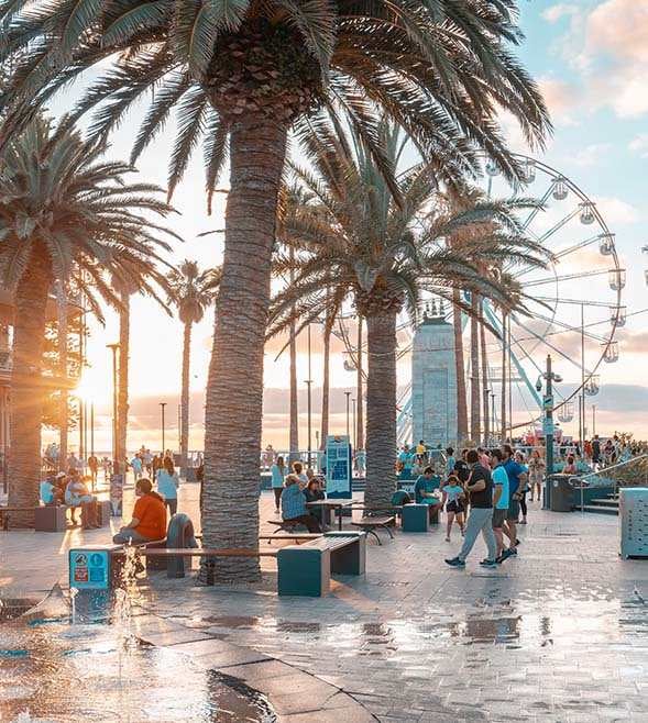 South Australian State Budget includes spending towards COP31