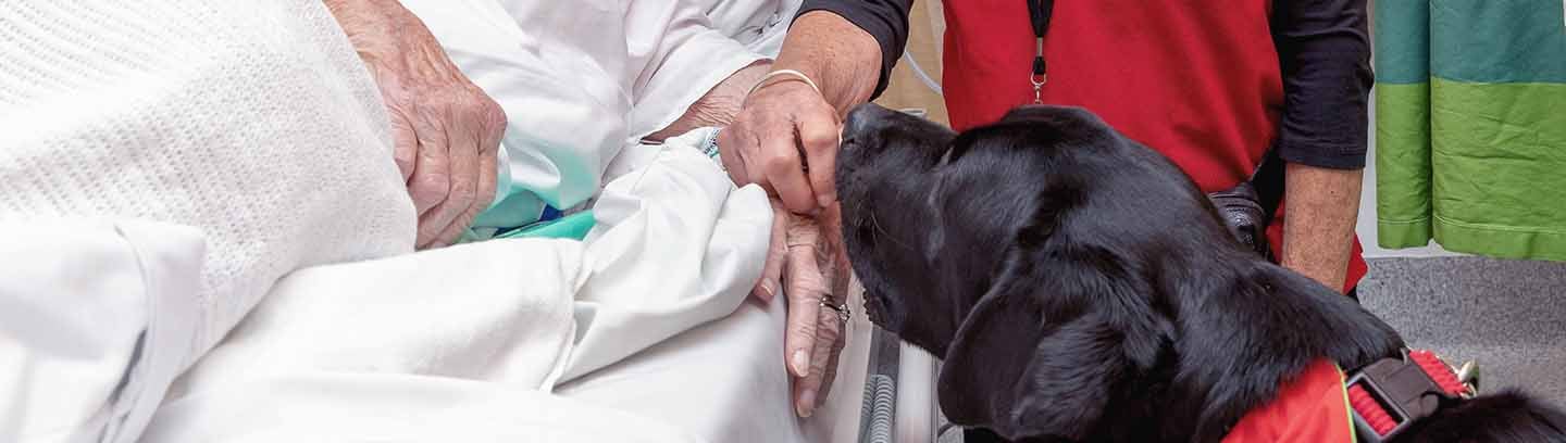 insight featured image