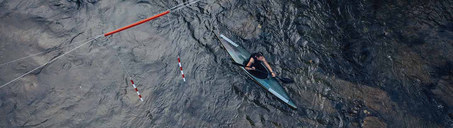 insight featured image