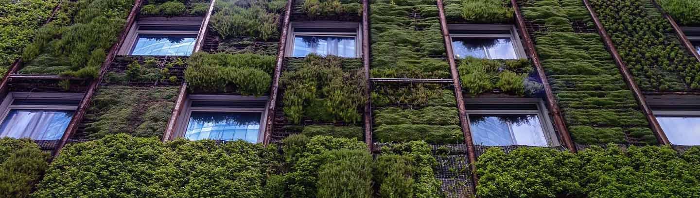 The future of mandated sustainability reporting