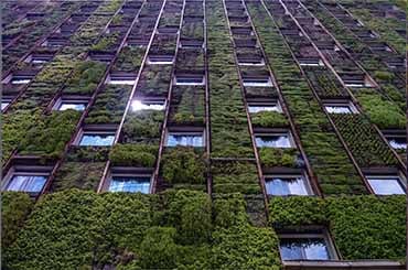 The future of mandated sustainability reporting