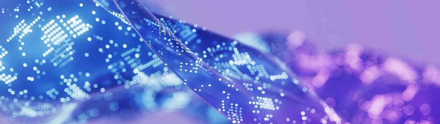 insight featured image