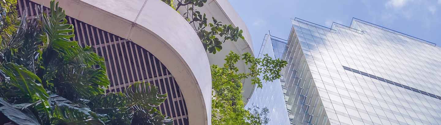 insight featured image