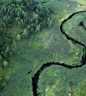 Top three impacts of using different audit firms for financial statement audits and sustainability assurance