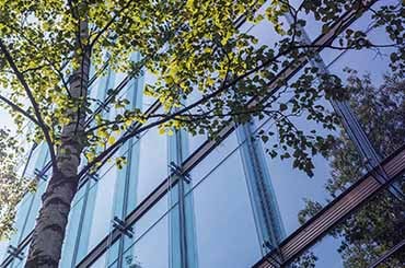 オーストラリアのサステナビリティ報告監査に関するの最終基準と倫理要件