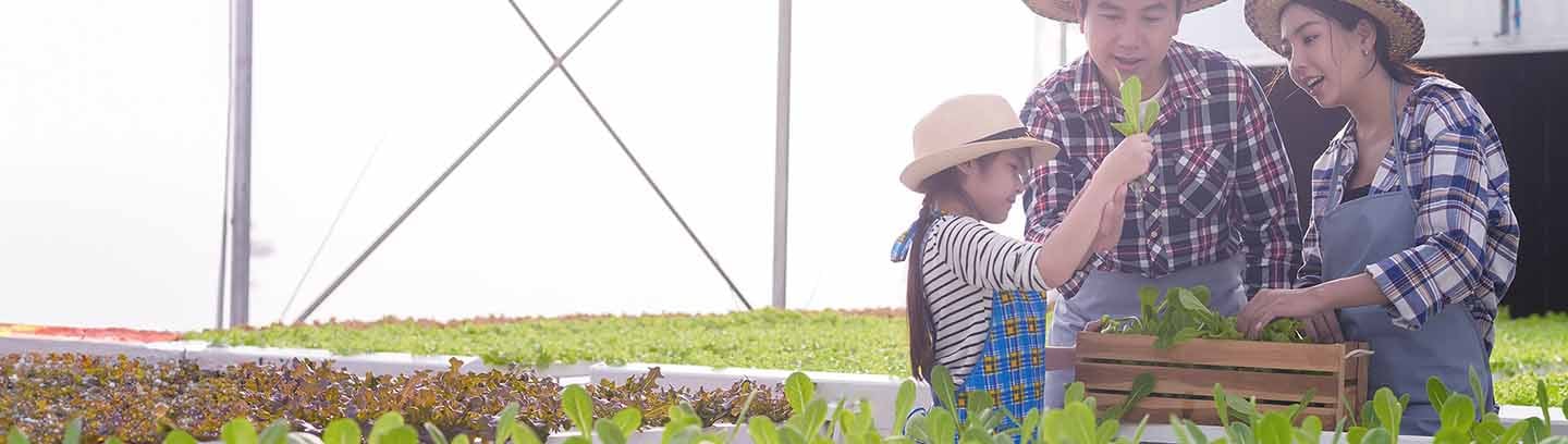 insight featured image