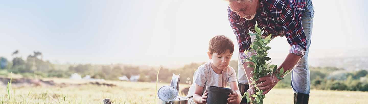 insight featured image