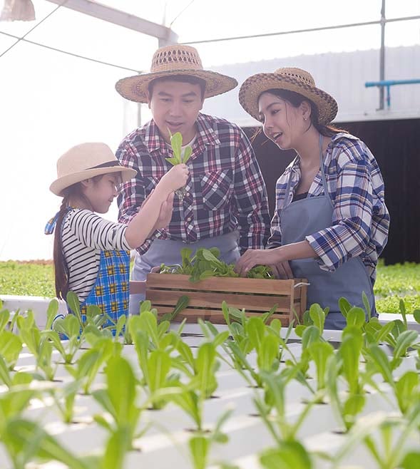 Issues arising from misaligned succession and estate plans