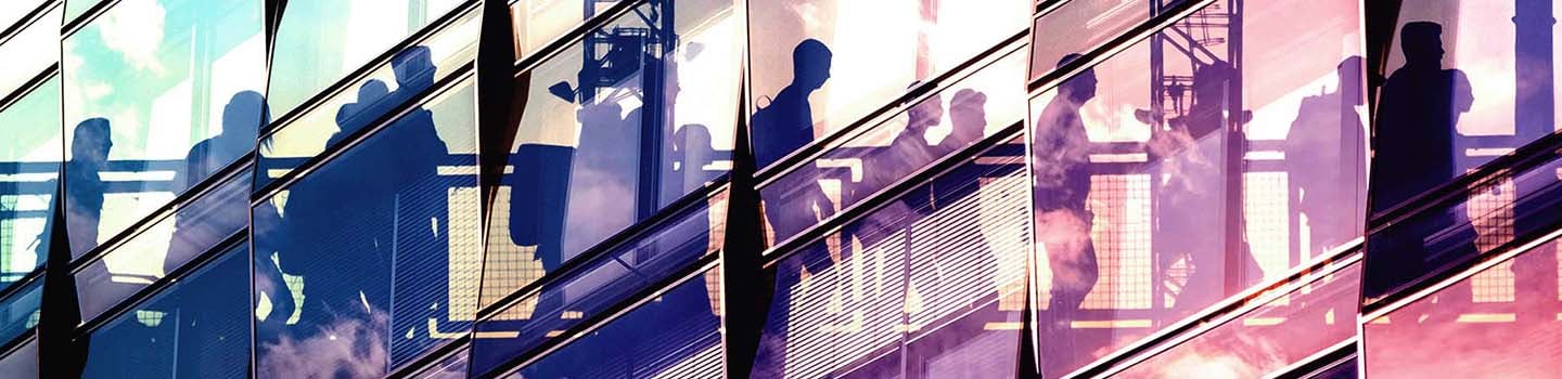 Practical Compliance Guidelines (PCG) for the allocation of profits by professional firms