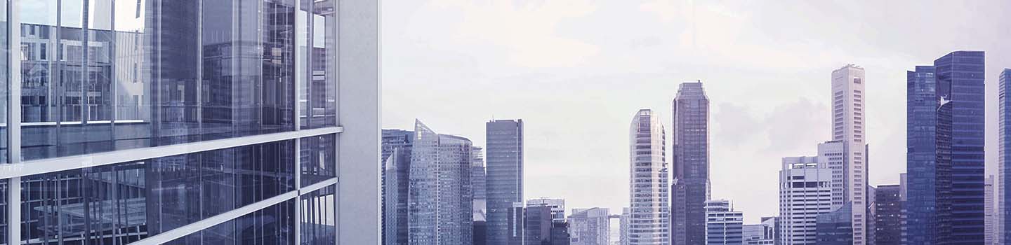 insight featured image