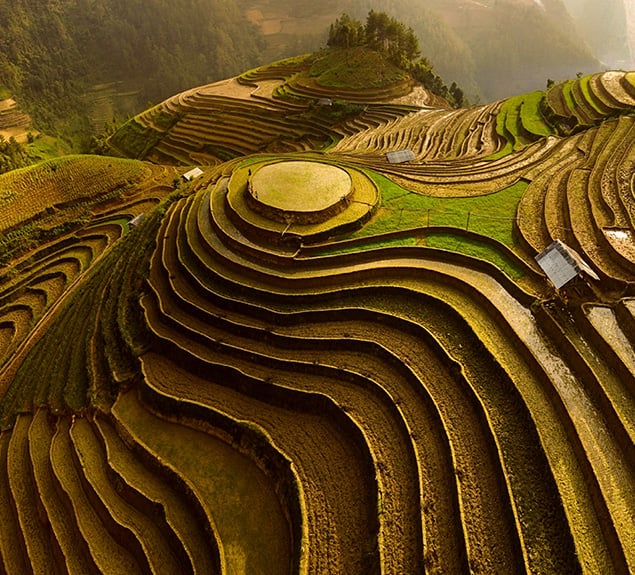 事業報告書(BAS) ・ 消費税(GST) コンプライアンス