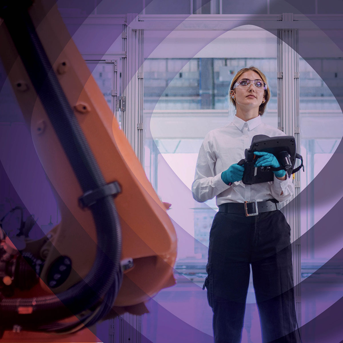 Download the full report here