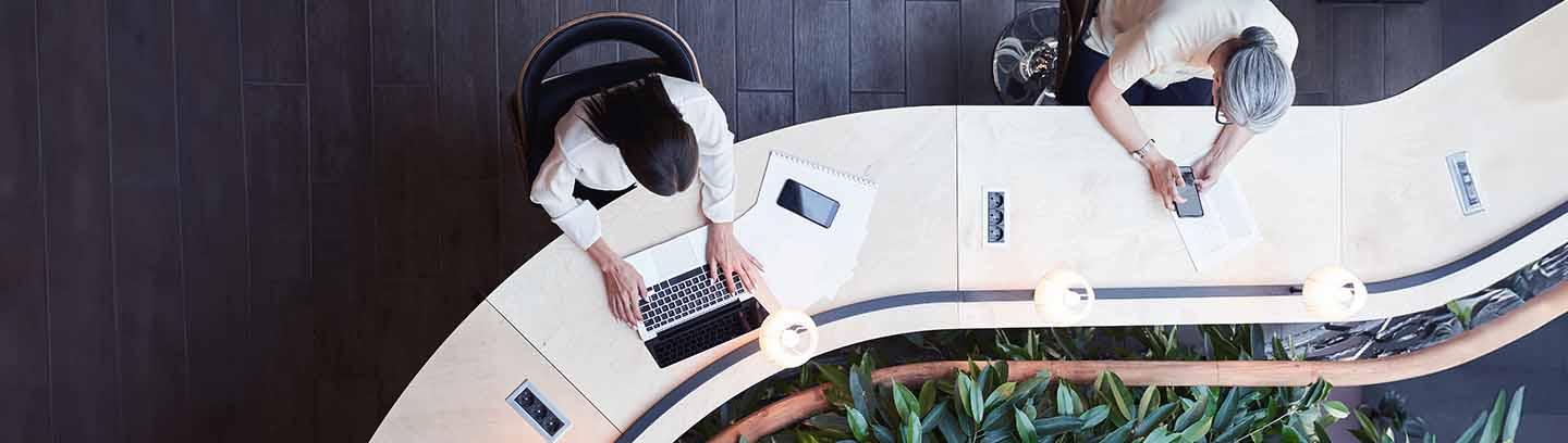 insight featured image