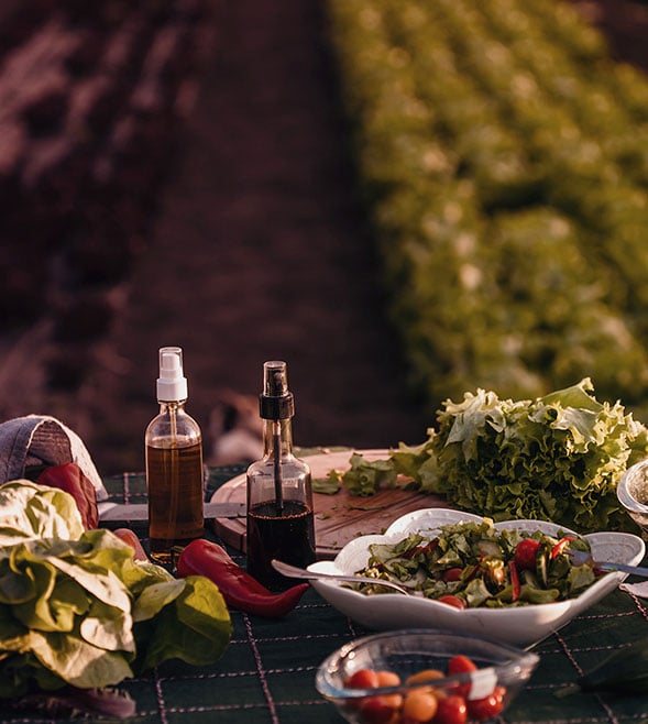 Agribusiness, Food & Beverage Dealtracker 2026: An evolving landscape