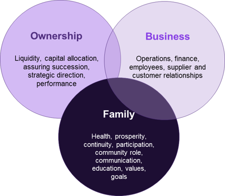 A venn diagram outlining the areas of Ownership, Business and Family