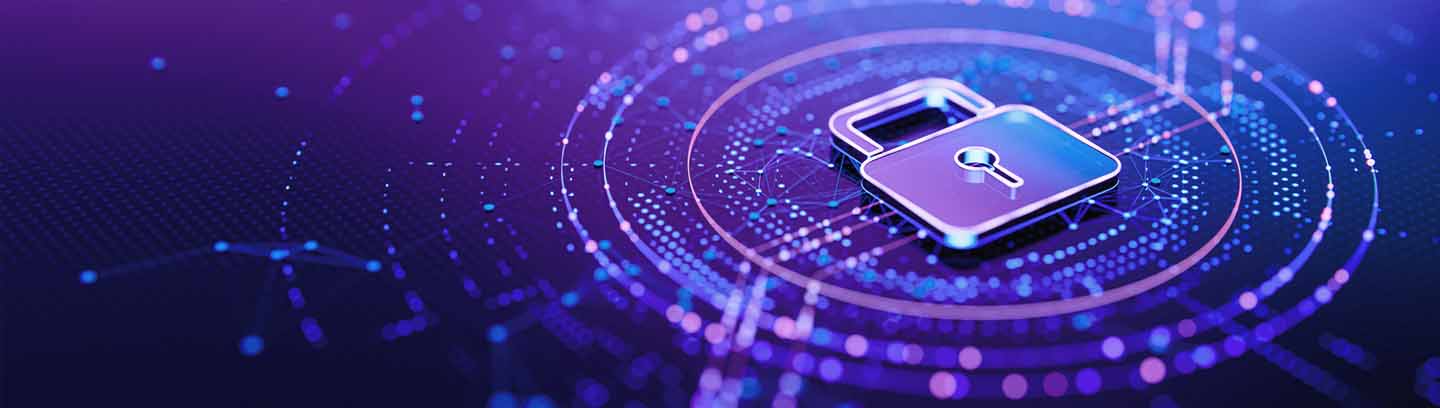 insight featured image