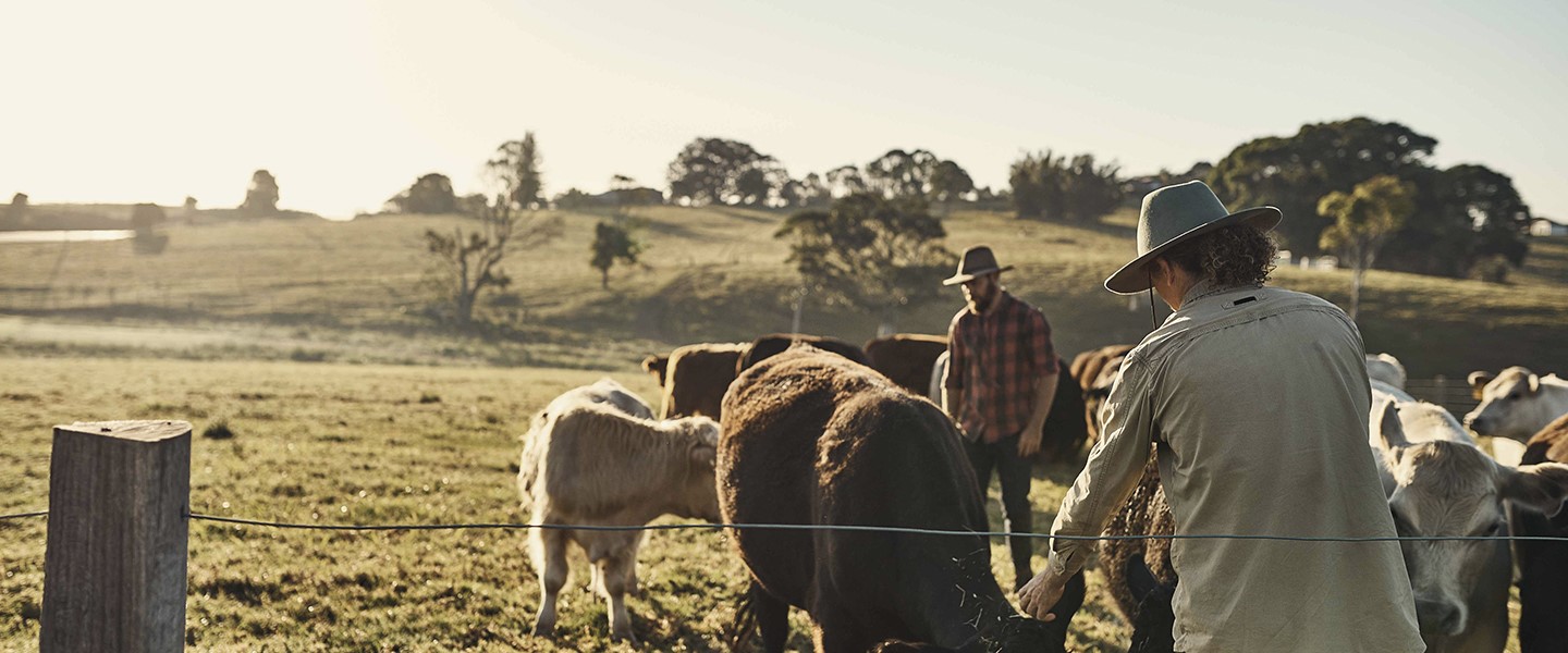 Grant Thornton Australia | Agribusiness