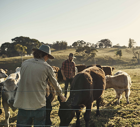 Agribusiness, Food & Beverage