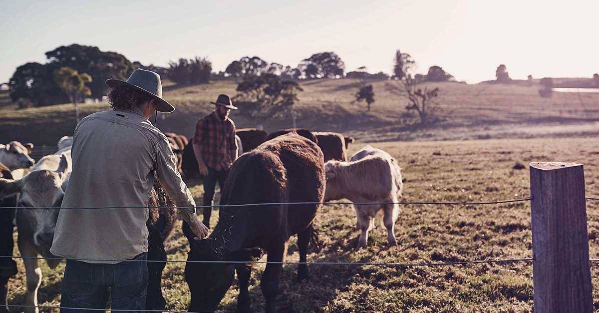 Congratulations to New Forests and AIMCo on being awarded Farmland Deal of the Year 2024
