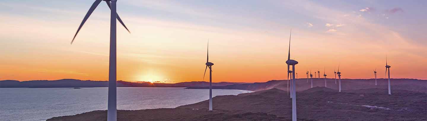 Energy & Resources