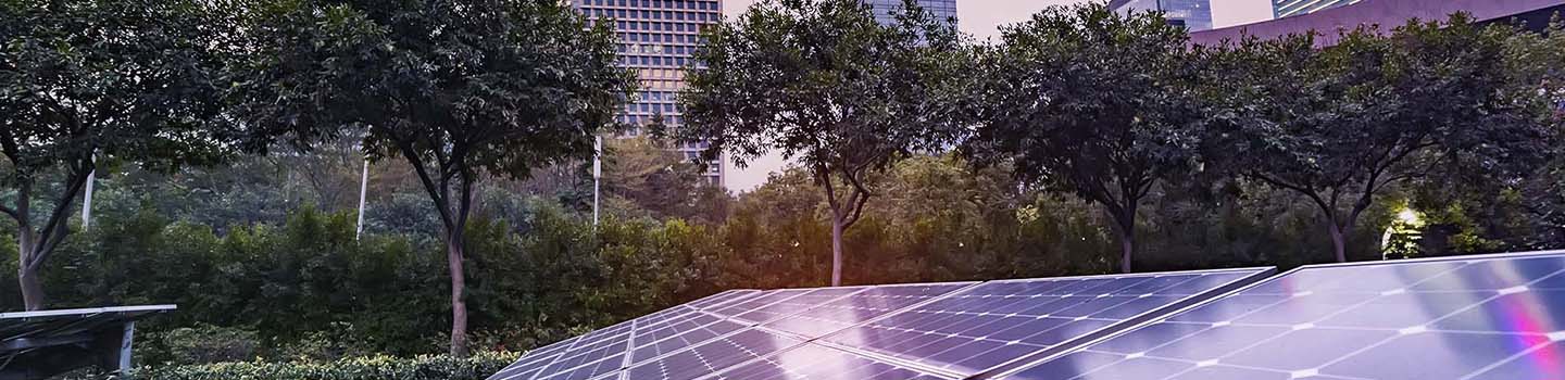 ESG, sustainability and climate advisory