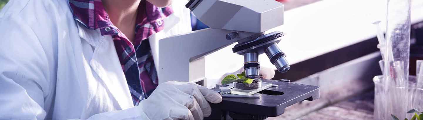 Life Sciences