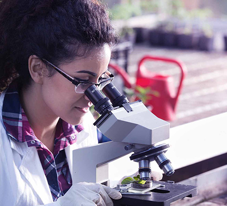 Learn more about how our Life Sciences services can help you