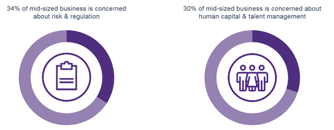 Mid-size business statistics Mid-size business statistics