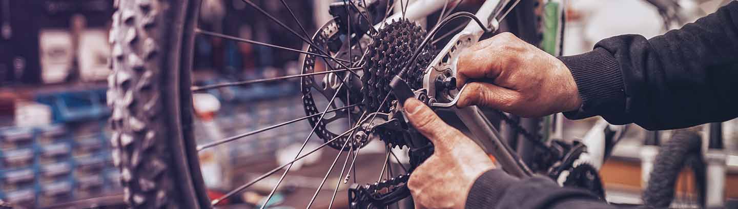 insight featured image