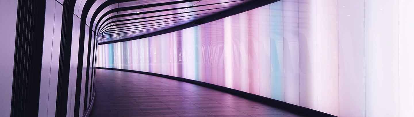 insight featured image