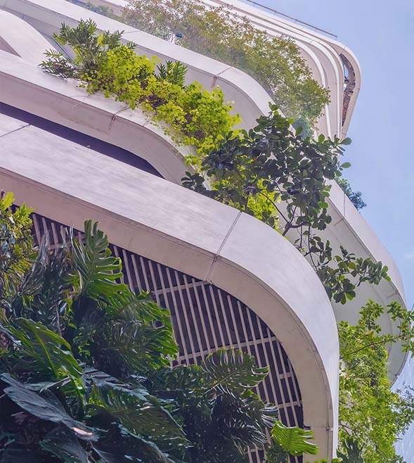 Sustainability reporting and assurance: 2025 in review