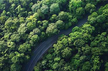 Navigating sustainability initiatives in an era of greenwashing