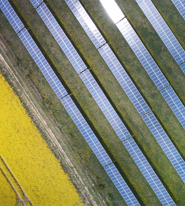 Learn more about how our Sustainability reporting services can help you