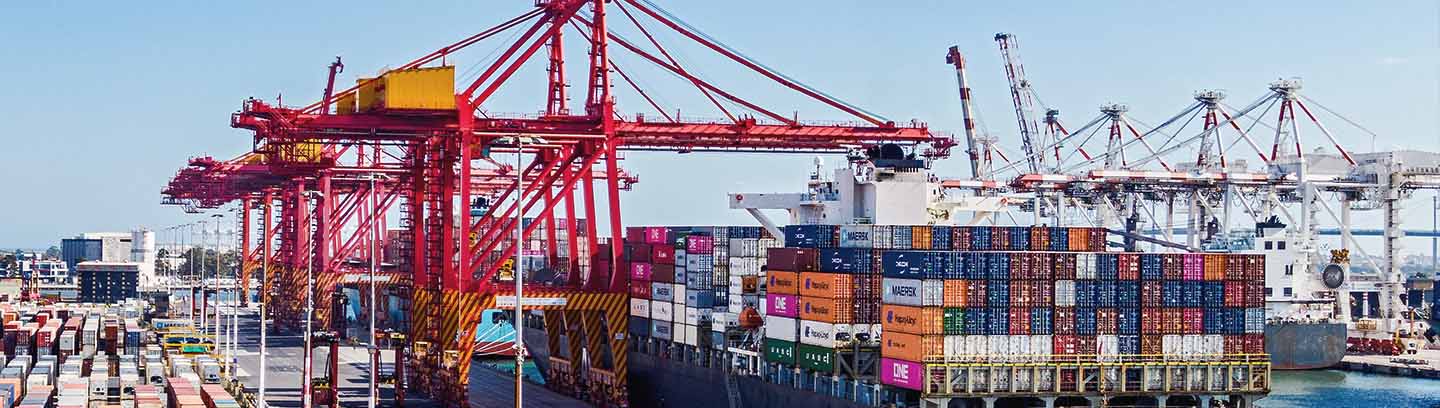 insight featured image